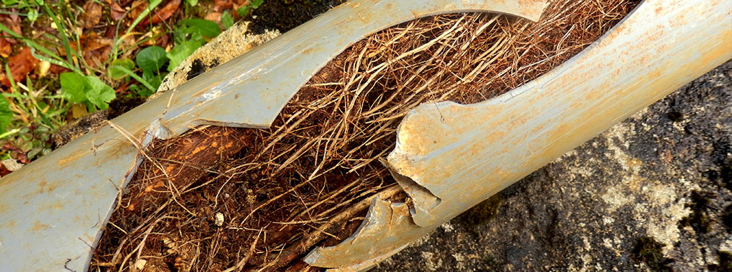 blocked drains in calmore
